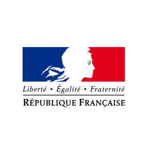 French Government