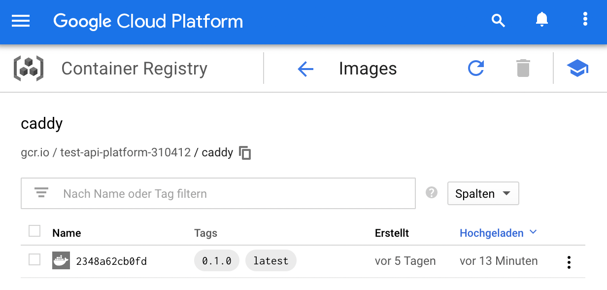 Example of Google Caddy Image - Details